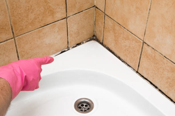 Office Mold Removal Services in Fairdale, PA
